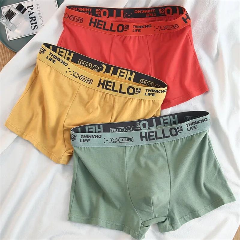 10 ชิ้น/ชุดชั้นในชายผู้ชายกางเ - Boxer Brief Pack Cotton บทวิจารณ์และราคา